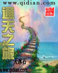 通天之旅小说封面