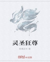 灵圣斗尊小说封面